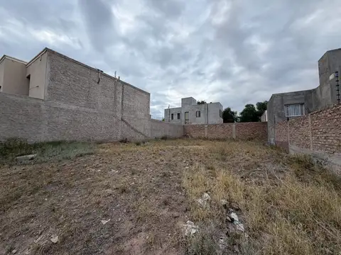 BARRIO ALTA MENDOZA 100