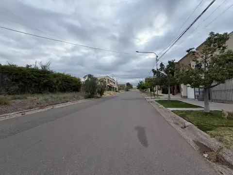 BARRIO ALTA MENDOZA 100