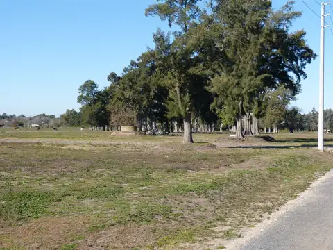 Terreno en Venta de 1500,0 m2