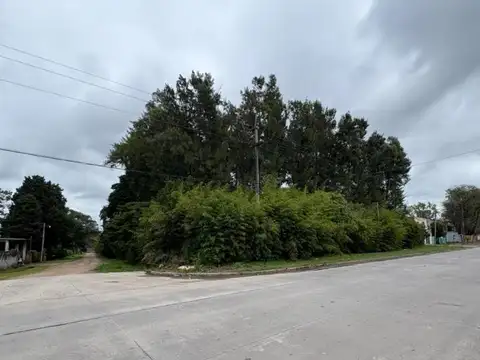 TERRENO EN VENTA CARDALES CENTRO