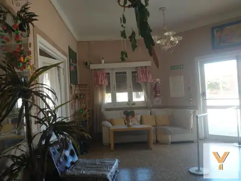 20 y 81 bis