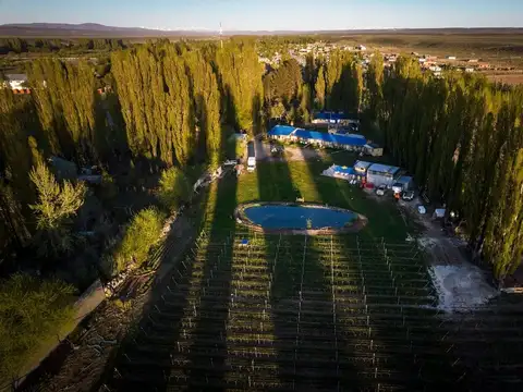Viñedo y Hosteria en Gualjaina Chubut Patagonia.
