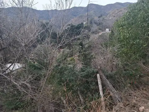 Terreno en Venta 12  mts Fondo