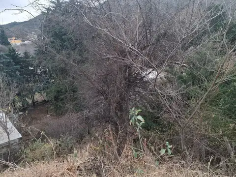 Terreno en Venta en Bialet Masse, USD 5.500