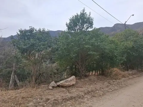 Los Espinillos