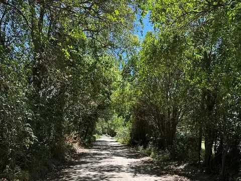 Terreno en Venta en Villa Gran Parque, USD 124.999