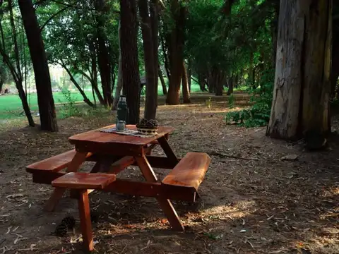 CALLEJON GUERRERO 5500