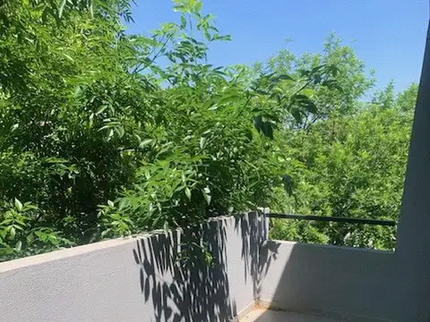 Departamento 3 Ambientes al frente con 2 Balcones  y Terraza propia a Estrenar