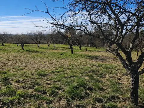 LOTE EN LOS ESPINILLOS POTRERO DE GARAY