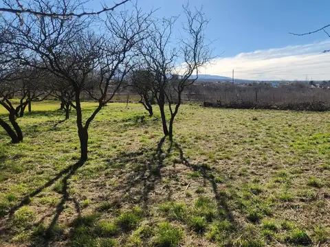 Terreno en Venta 44  mts Fondo