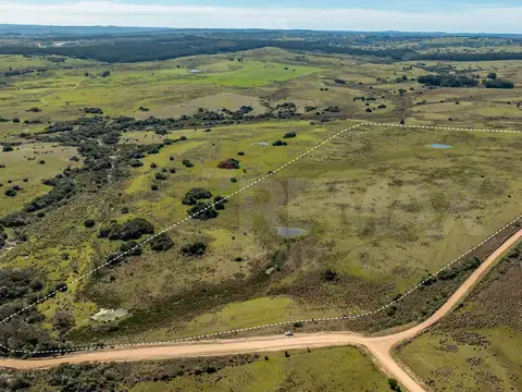 Chacra en venta José Ignacio Campo en Oportunidad!