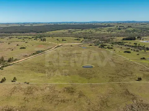 Chacra en venta José Ignacio Campo en Oportunidad!
