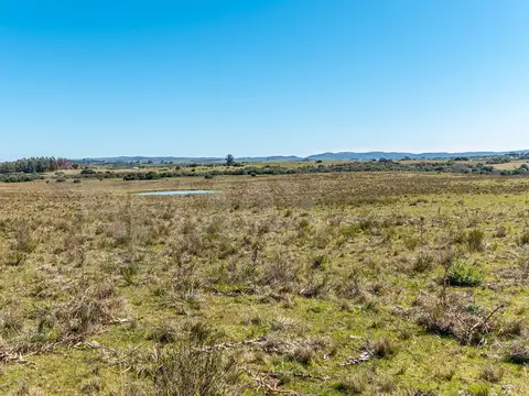 Chacra en venta José Ignacio Campo en Oportunidad!