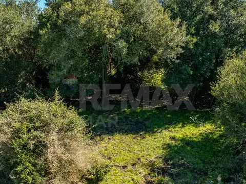 Chacra en venta José Ignacio Campo en Oportunidad!