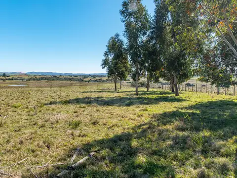 Chacra en venta José Ignacio Campo en Oportunidad!