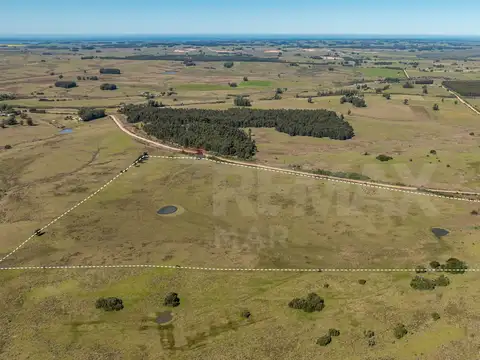 Chacra en venta José Ignacio Campo en Oportunidad!