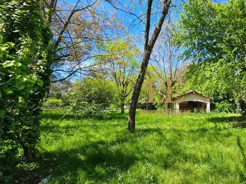 Terreno en Venta 37  mts Fondo