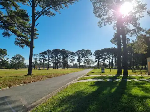 Terreno en Venta de 1585,0 m2