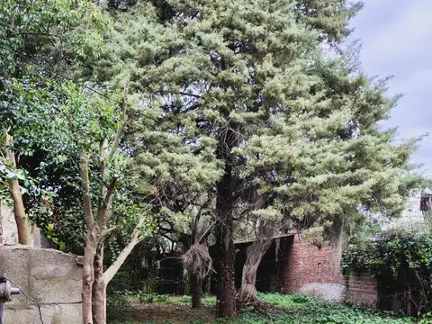 VENTA DE CASA EN CARMEN DE ARECO.-