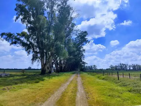 Venta campo en Rosario