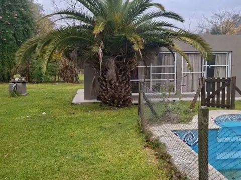 LIBERTAD 100