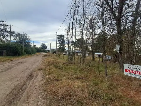Los Reartes 100