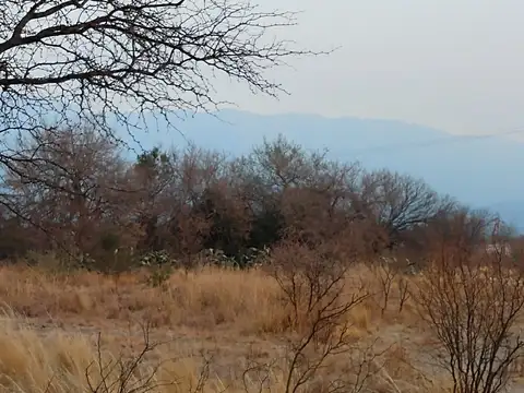 LOTES EN VENTA EN LA TRAVESÍA