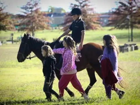 Terreno en Venta en Haras Santa Maria - El Trebol, USD 150.000