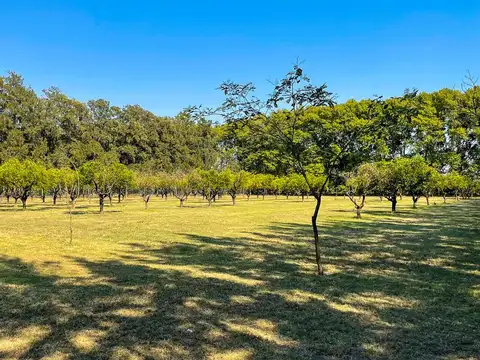 Terreno en Venta en Fighiera, USD 78.500