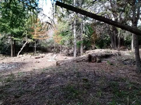 Terreno en Venta 65  mts Fondo