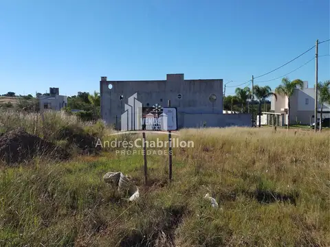 Mons. D´andrea 1200