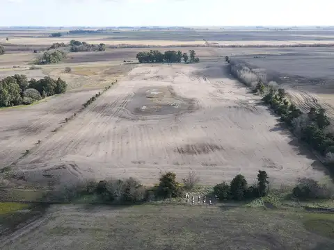 CHACRA EN VENTA 16HA EN RTA NAC. 226 Y 3-AZUL