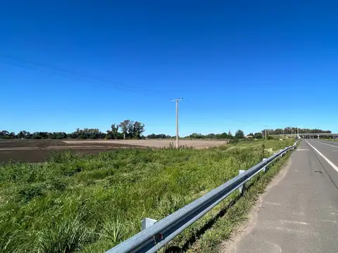 Campo en Venta Agrícola