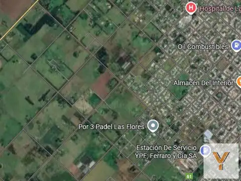 Campo en venta - 40.000Mts2 - Las Flores