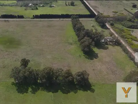 Campo en venta - 40.000Mts2 - Las Flores