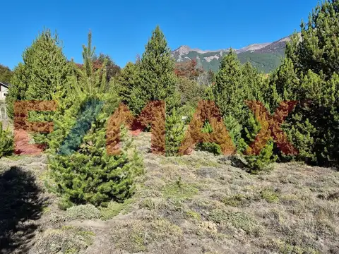 Terreno en Venta en Meliquina, USD 55.000