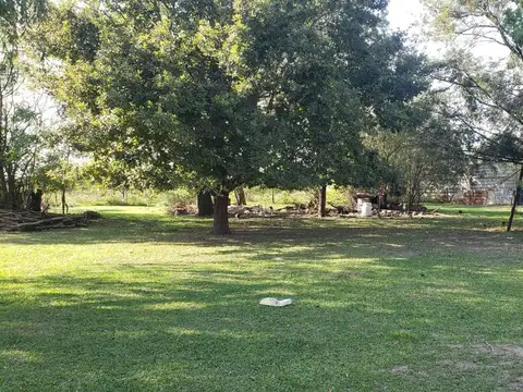 Galpon en Alquiler 55 años