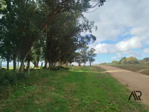 Laguna del