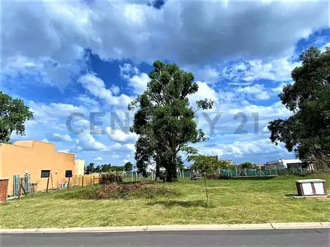 Lote Perimetral en venta en Pilar del Este Barrio San Ramón con arboleda