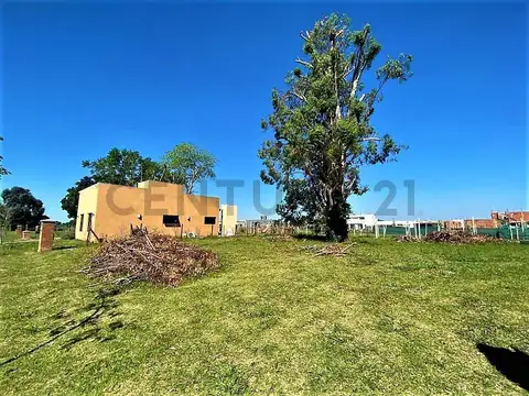 Lote Perimetral en venta en Pilar del Este Barrio San Ramón con arboleda