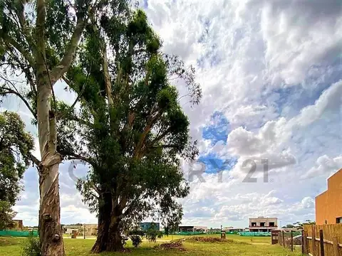 Ruta 25 y E. Casella 100, Piso 0