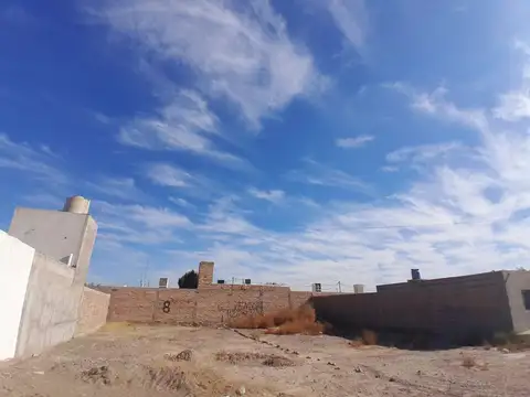 Borcosque Este
