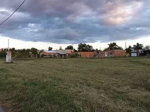 los lazaristas al 2431