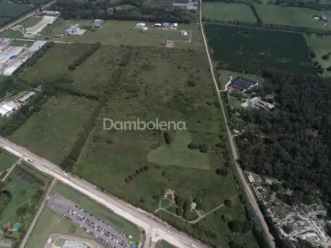 Terreno en Venta en Cuartel V, USD 7.000.000