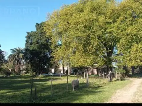 CLL. Venta campo 70000 m2, Calle Carpintero al 1000, El Cazador, Escobar.  apto desarrollo inmobiliario.