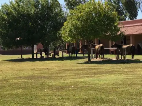 Venta de lote en Barrio Haras del Sol