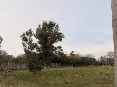 Terreno en Venta de 369,0 m2