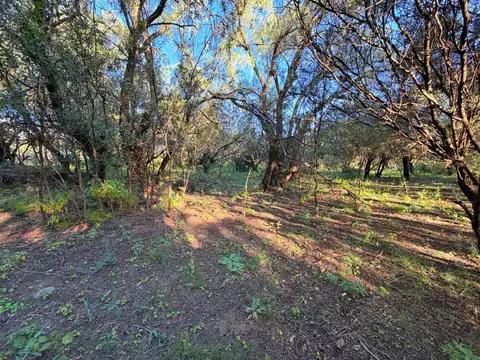 Terreno en Venta de 1100,0 m2