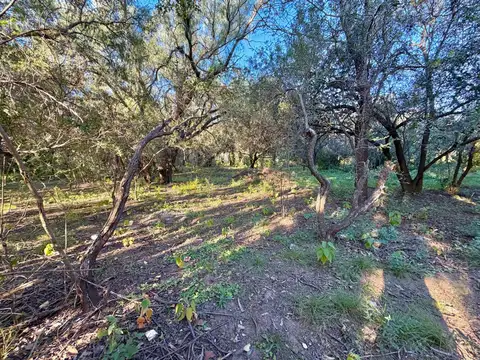   Lotes en venta – Quebracho Ladeado, Traslasierra  
