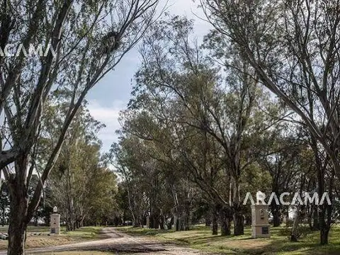 Lote en VENTA en Lagos de San Eliseo - San Vicente